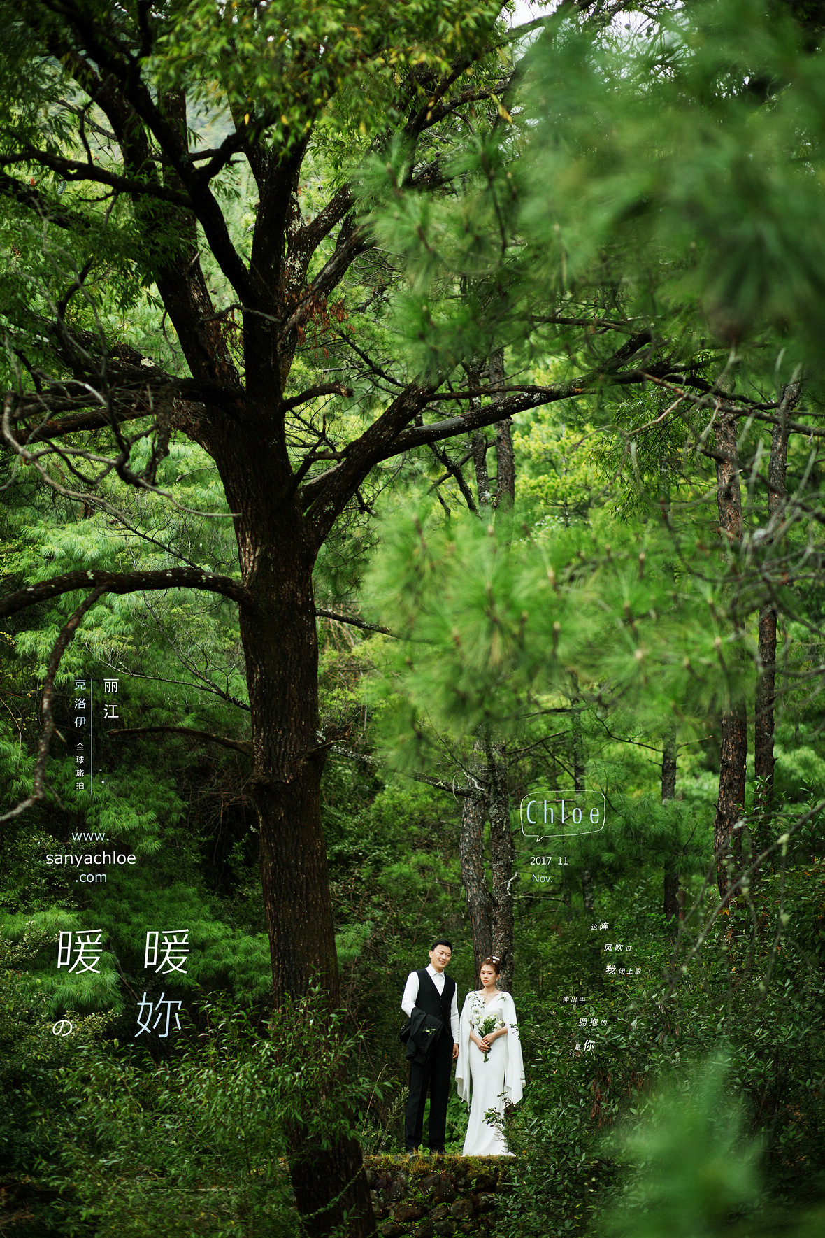 賈先生&舒女士