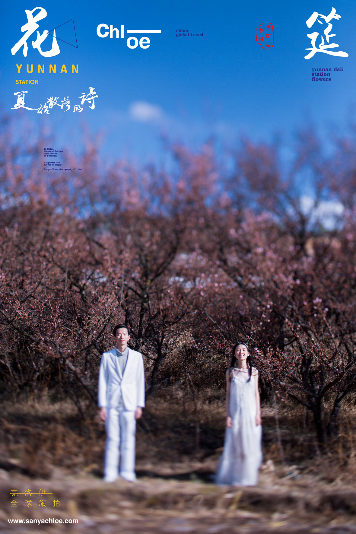 徐先生&苗女士