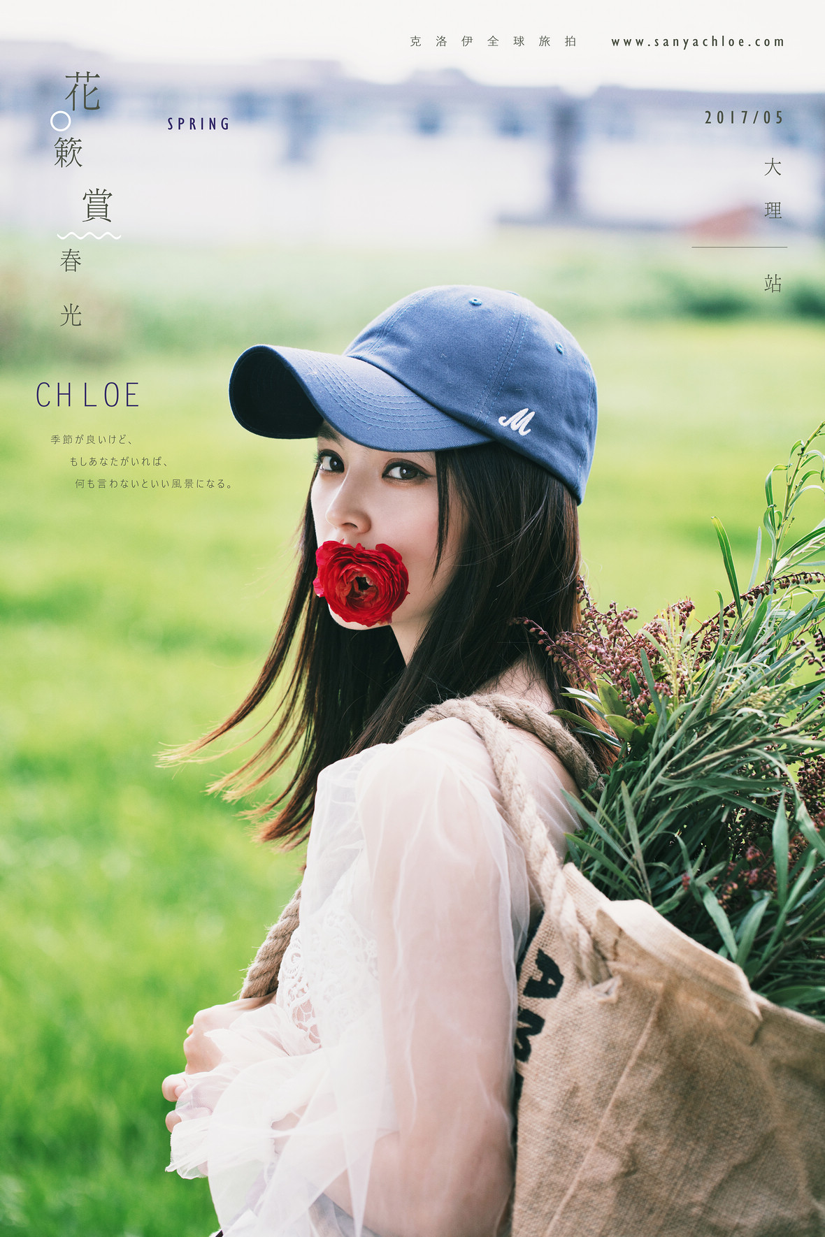 花簌賞春光