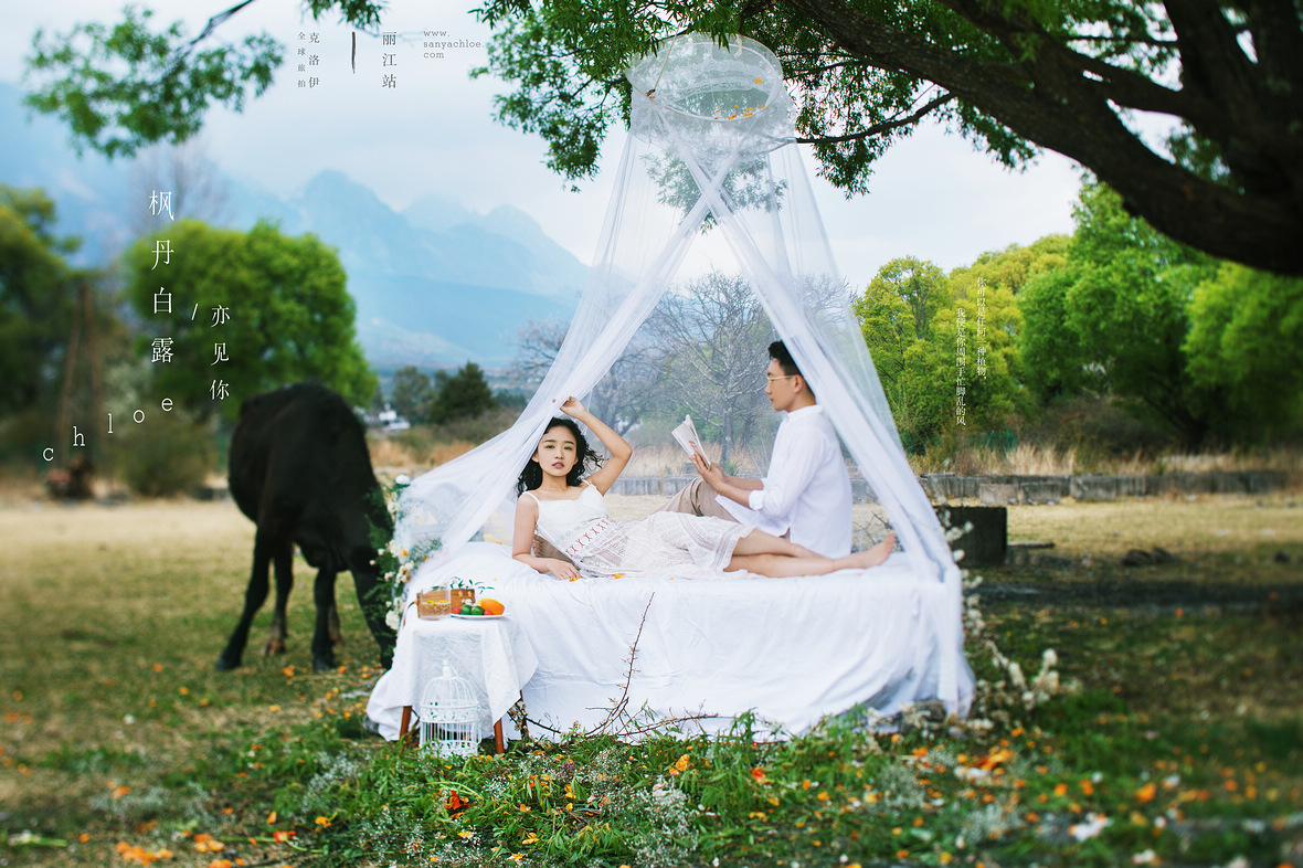 「煮茶賞花 擁抱自然」的婚紗照，才是真正的詩和遠(yuǎn)方