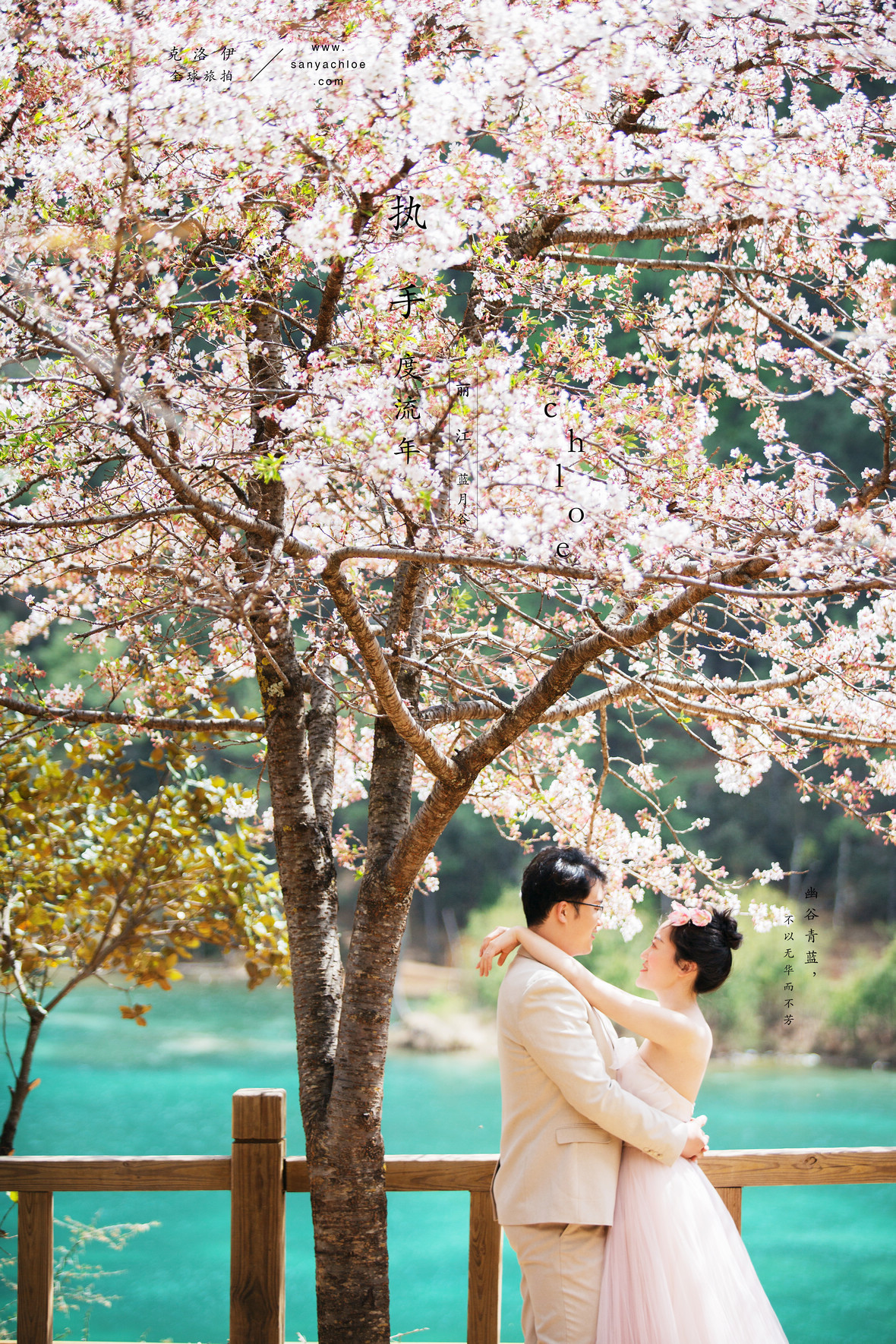 高先生&劉女士